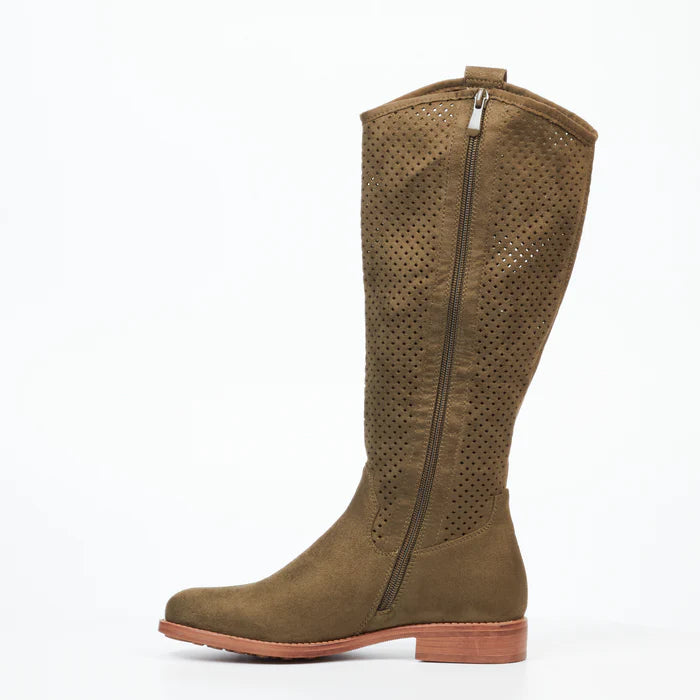 Spring 3 - Olive