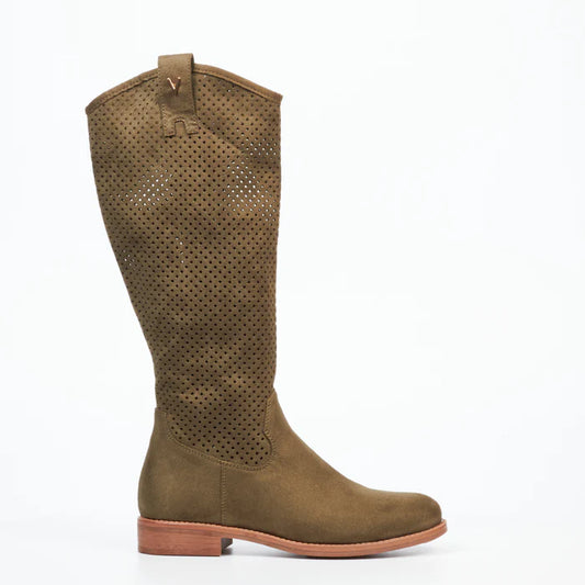 Spring 3 - Olive
